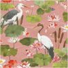 Koi Pond Wallpaper
