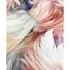 Plumes Feather Wallpaper