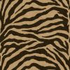 Exclusive Zebra Wallpaper