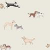 Doggy Daycare Wallpaper
