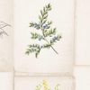 Floral Tile Wallpaper Cream