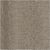 Animal Skin Snake Wallpaper
