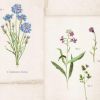 Floral Tile Wallpaper Cream
