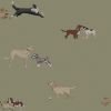 Doggy Daycare Wallpaper
