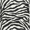 Exclusive Zebra Wallpaper
