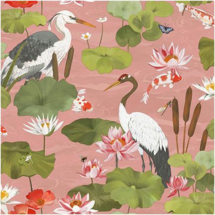Koi Pond Wallpaper