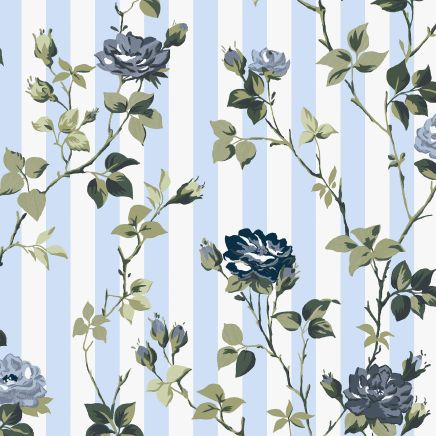 Climbing Rose Wallpaper