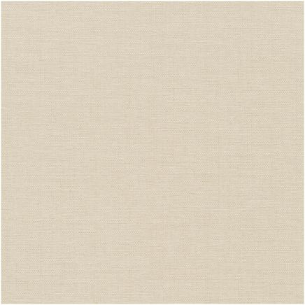 Plain Echo Beige Wallpaper
