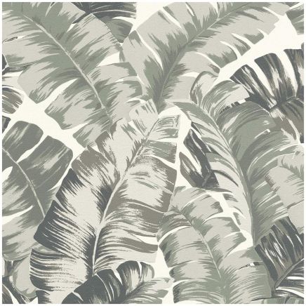 Sage Green Palm Leaf Wallpaper