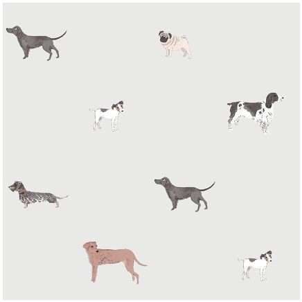 Sophie Allport Woof Grey Wallpaper