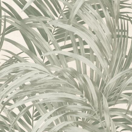 Congo Wallpaper
