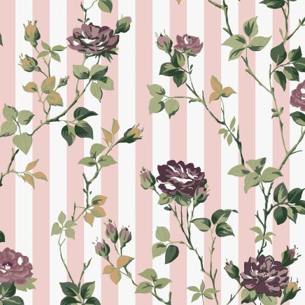 Climbing Rose Wallpaper