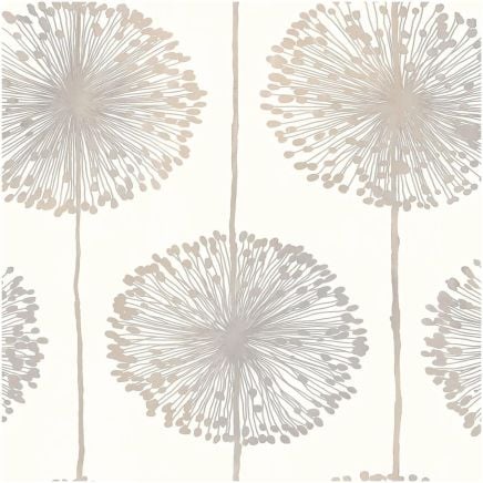Dandelion Floral Wallpaper Beige Cream
