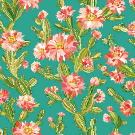 CACTUS BLOOM WALLPAPER