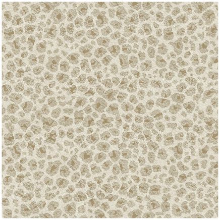 Paul Moneypenny Leopard Wallpaper