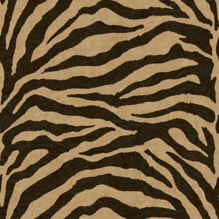 Exclusive Zebra Wallpaper