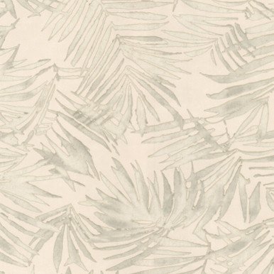 Amazonia Wallpaper