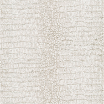 Forest Dreams Crocodile Wallpaper