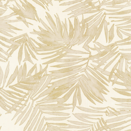 Amazonia Wallpaper