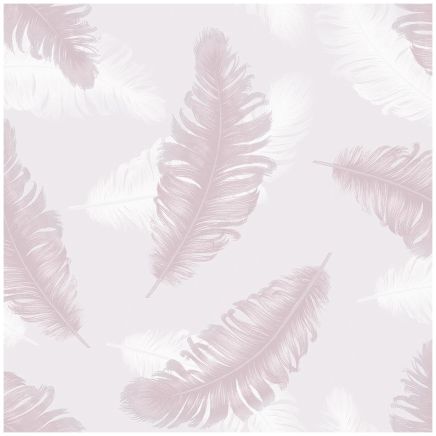 Feather Wallpaper