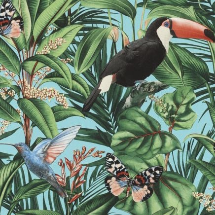 Paradiso Parrot Wallpaper Blue Multicoloured