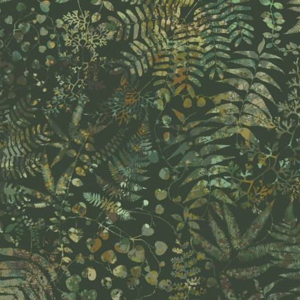 Cloud Forest Wallpaper