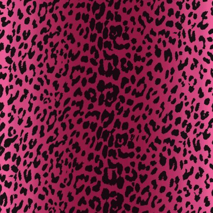 Wild at Heart Leopard Wallpaper