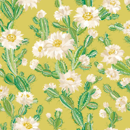 CACTUS BLOOM WALLPAPER