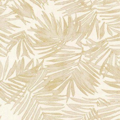 Amazonia Wallpaper