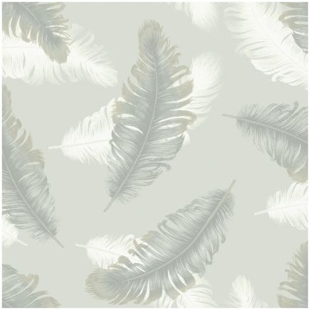 Feather Wallpaper