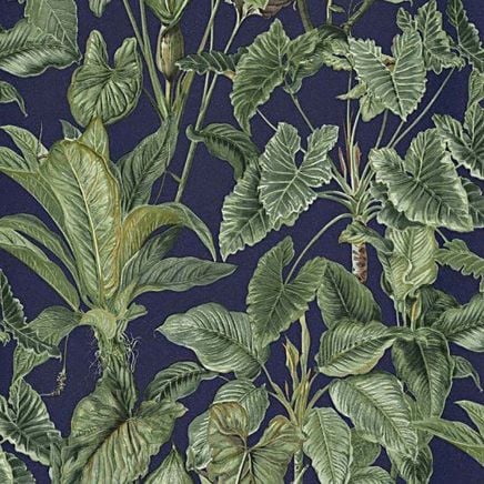Paradiso Palm Banana Leaf Wallpaper