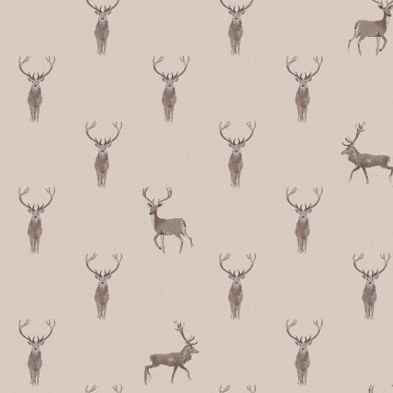 Highland Stag Wallpaper