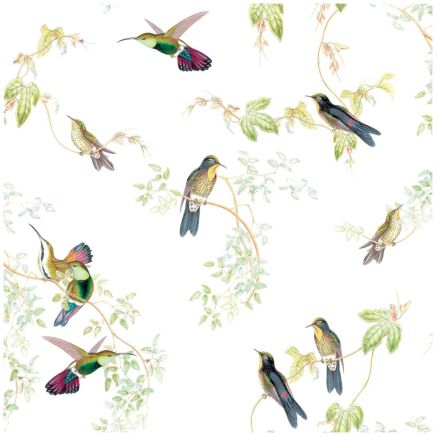 Vogelvrij Birds Multicolour Wallpaper