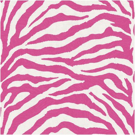 Exclusive Zebra Wallpaper
