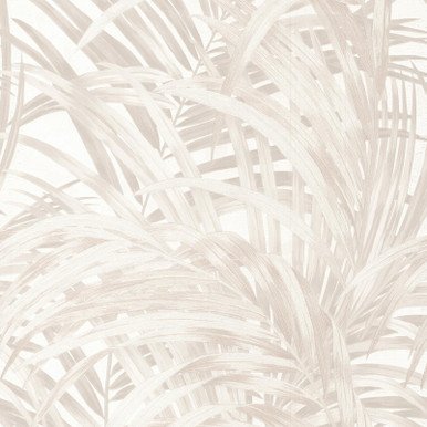 Congo Wallpaper
