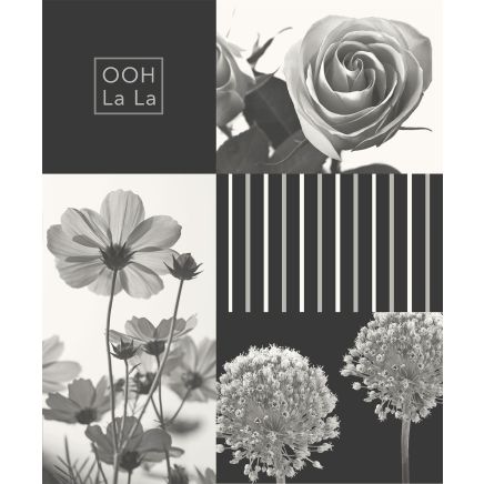 Coco Wallpaper Modern Collage Flowers Floral Roses Stripes