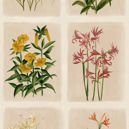 Pershore Postcards Wallpaper Linen