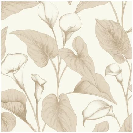 Cala Lily Wallpaper