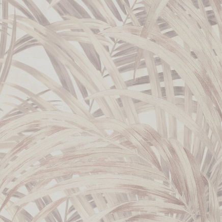Congo Wallpaper