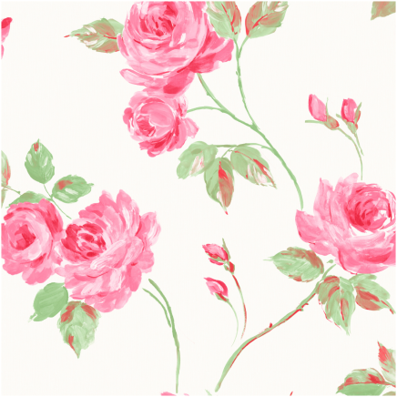 Romance Rose Wallpaper Cream Pink