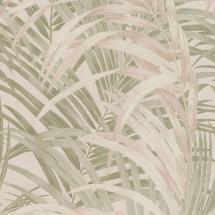 Congo Wallpaper