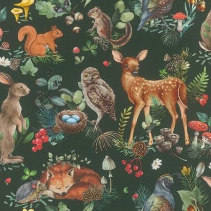 Kids Forest Walk Wallpaper