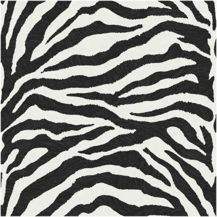 Exclusive Zebra Wallpaper