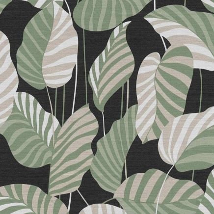Jungle Leaves Wallpaper Black Green Gold
