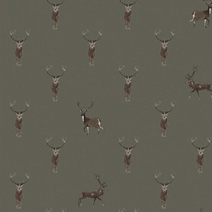 Highland Stag Wallpaper
