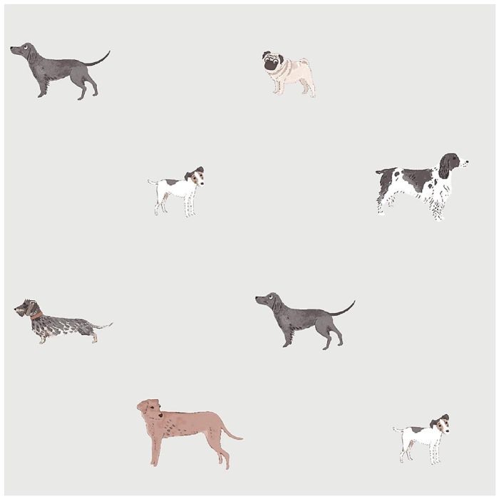 Sophie Allport Woof Grey Wallpaper