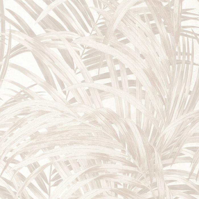 Congo Wallpaper