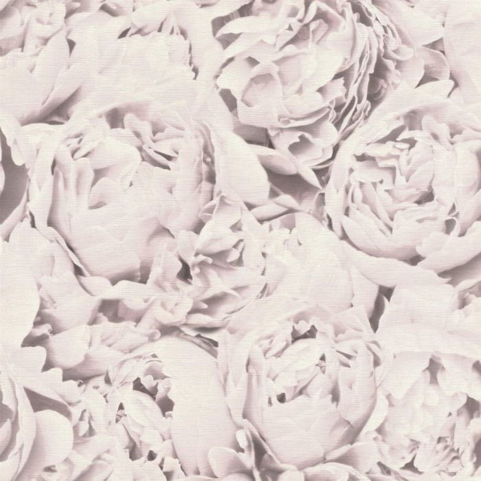 Peony Pink Flowers Wallpaper