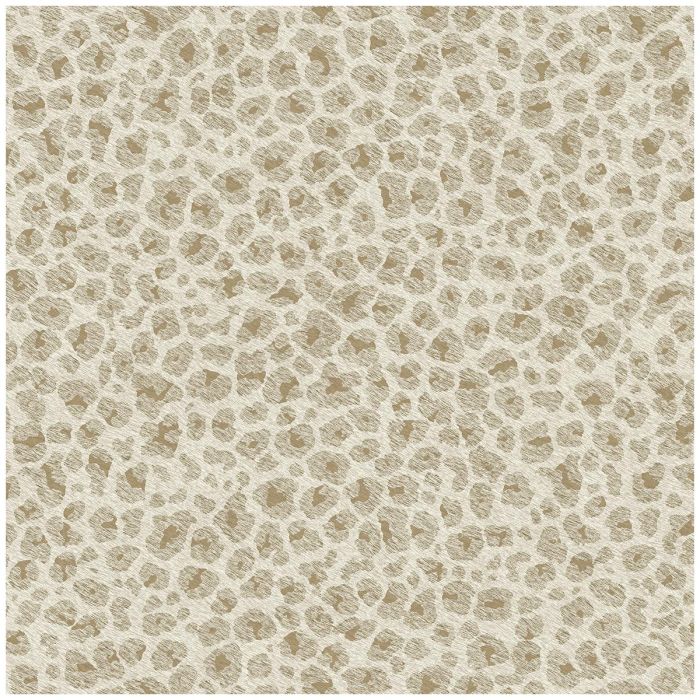 Paul Moneypenny Leopard Wallpaper