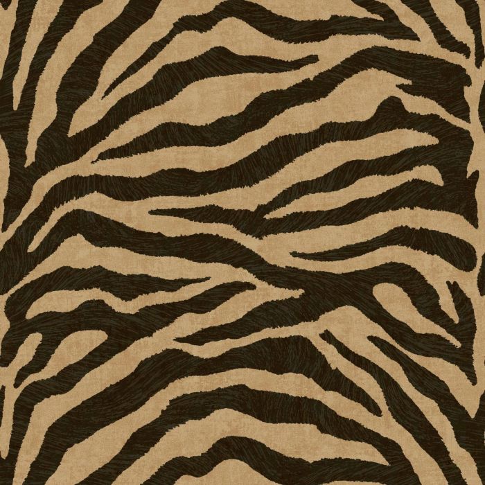 Exclusive Zebra Wallpaper